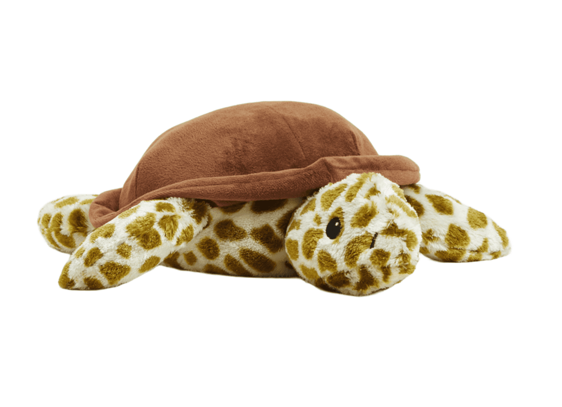 Heatable Soft Toy - Turtle | Warmies | Toys | Thirty 16 Williamstown