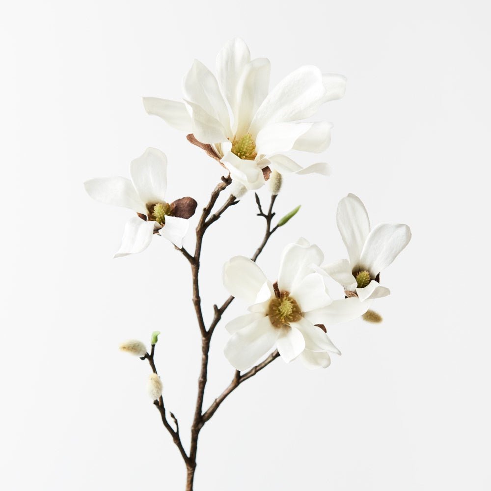 Japanese Magnolia Spray - White | Floral Interiors | Decorator | Thirty 16 Williamstown