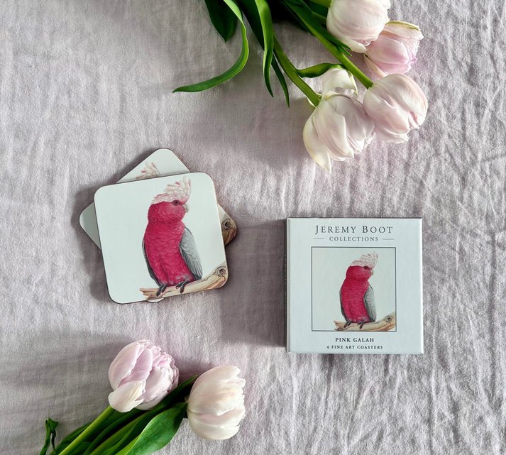 Jeremy Boot Coasters (set of 4) - Galah | Jeremy Boot Collections | Kitchen Accessories | Thirty 16 Williamstown