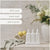 Kitchen Trio - Dish Wash, Hand Wash & Bench Spray (White) Lemon Myrtle & Honey Dew | Al.ive Body | At The Sink | Thirty 16 Williamstown