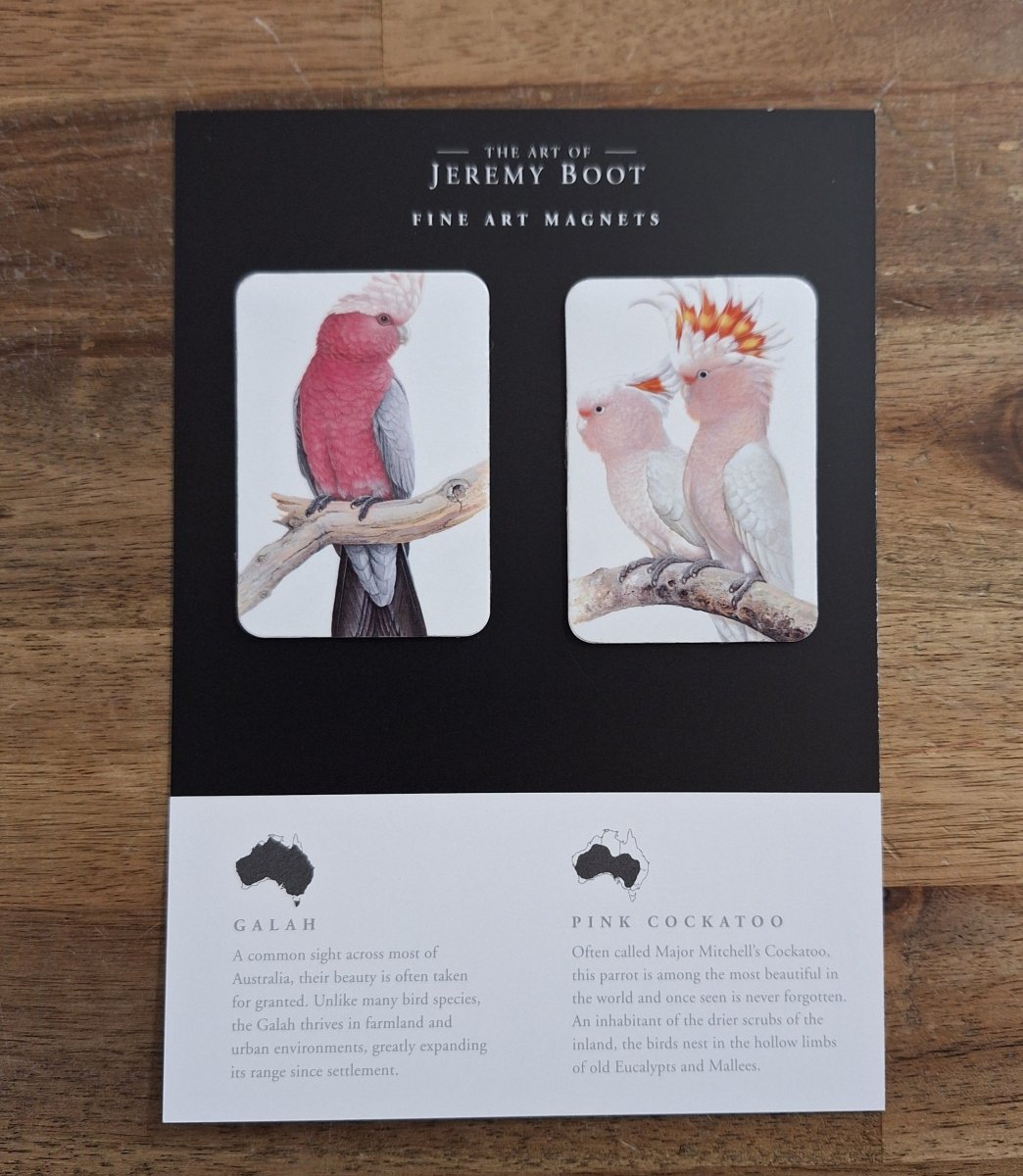 Magnet Pairs - Galah & Cockatoo | Jeremy Boot Collections | Magnets & Jotters | Thirty 16 Williamstown