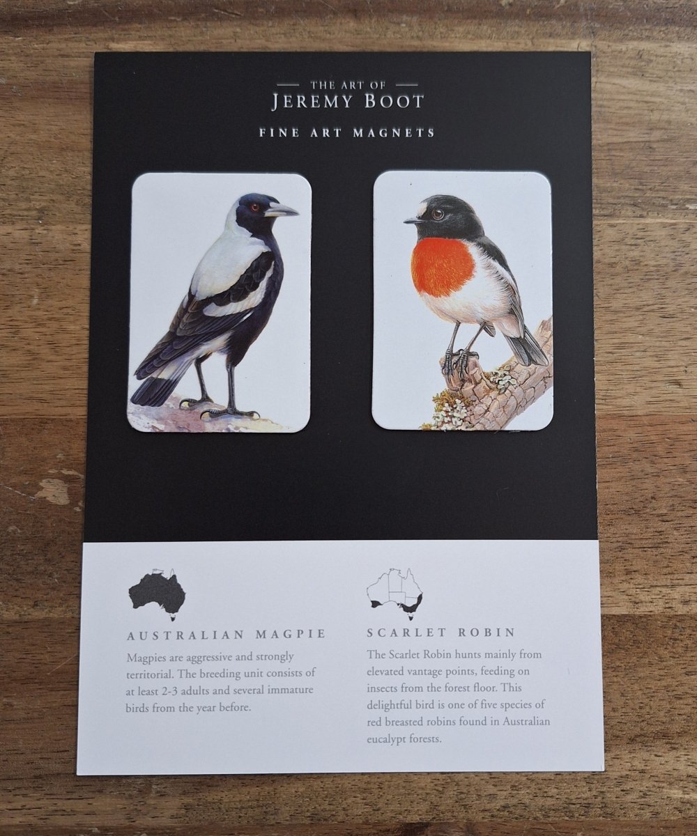 Magnet Pairs - Magpie & Robin | Jeremy Boot Collections | Magnets & Jotters | Thirty 16 Williamstown