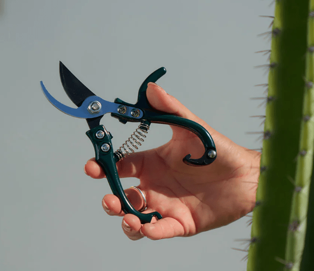 Mini Pruners | Sprout | Home Garden | Thirty 16 Williamstown