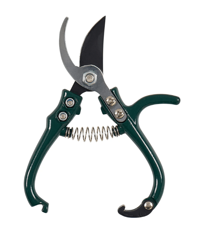 Mini Pruners | Sprout | Home Garden | Thirty 16 Williamstown