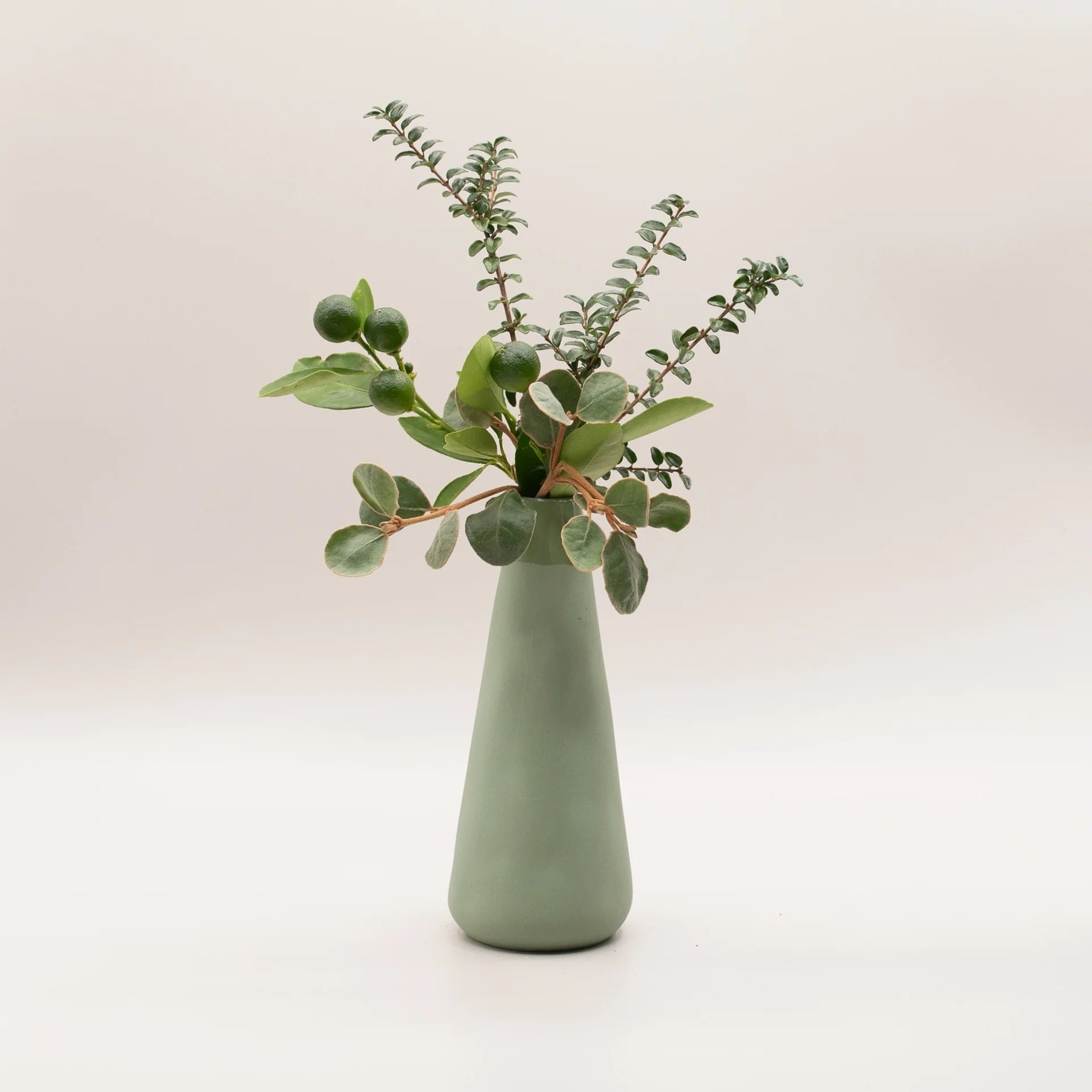 Botanical Diffuser - FOREST Rosemary, Eucalyptus, Pine, Bergamot &amp; Lemon