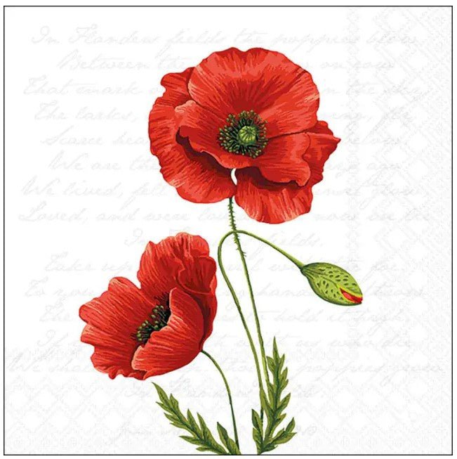 Napkins Luncheon - Proud Poppy | Ambiente | Tableware | Thirty 16 Williamstown