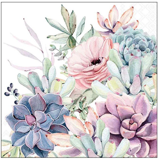Napkins Luncheon - Succulent Love | Ambiente | Tableware | Thirty 16 Williamstown