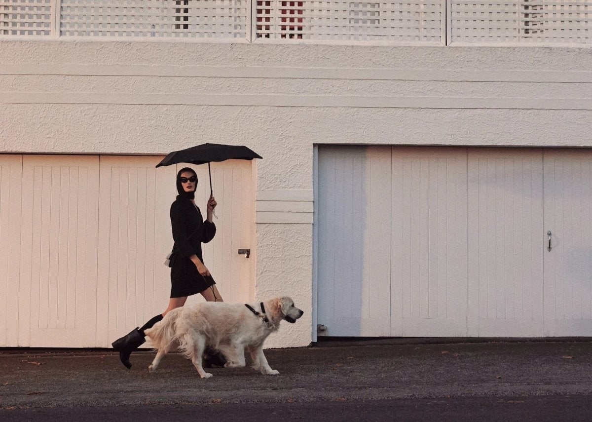 Neo Umbrella - Ink Black | Blunt | Women's Umbrellas | Thirty 16 Williamstown