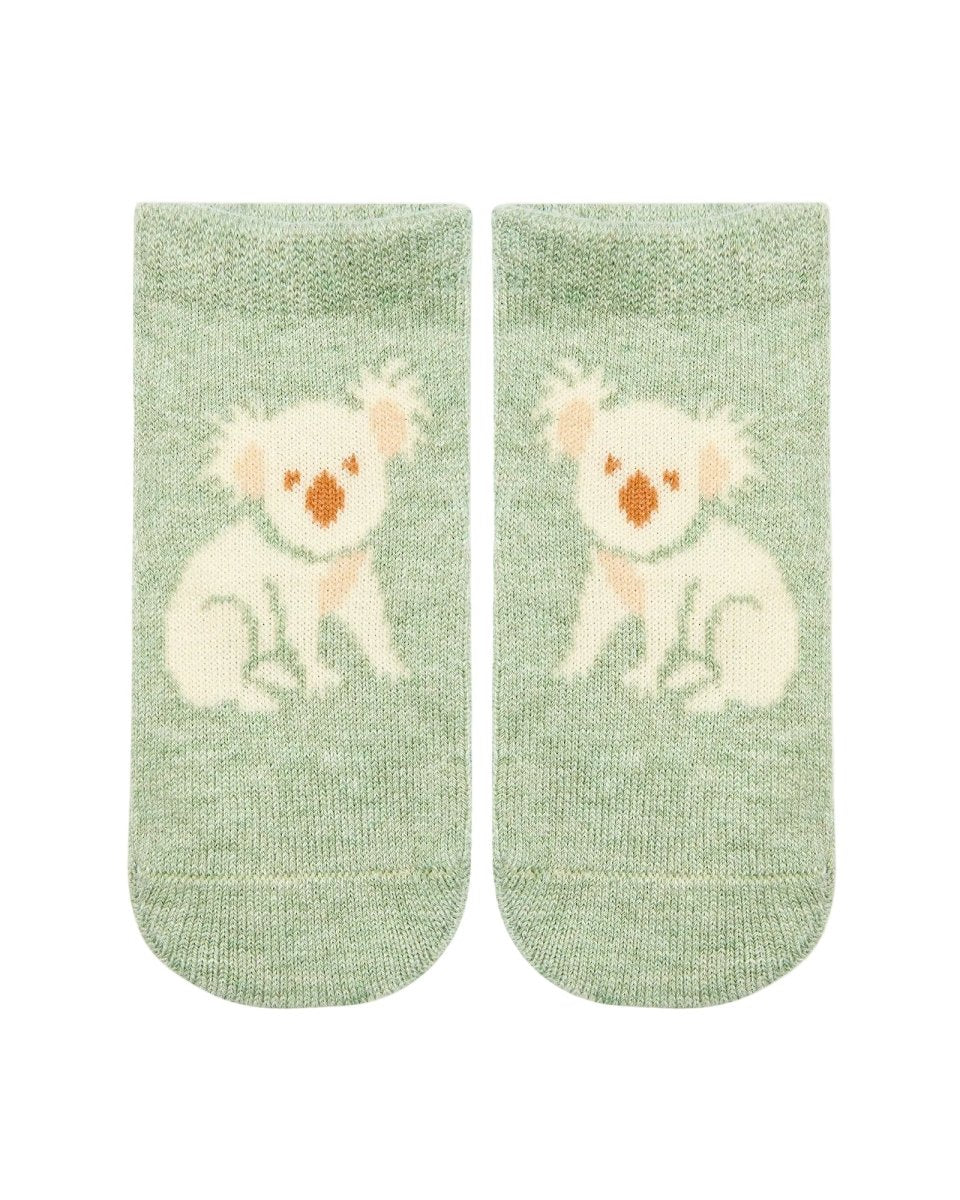 Organic Baby Socks - Jacquard Koala | Toshi | Baby & Toddler Socks & Tights | Thirty 16 Williamstown