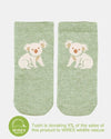 Organic Baby Socks - Koala | Toshi | Baby &amp; Toddler Socks &amp; Tights | Thirty 16 Williamstown
