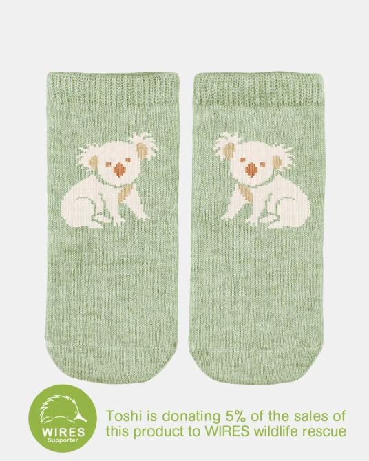 Organic Baby Socks - Koala | Toshi | Baby & Toddler Socks & Tights | Thirty 16 Williamstown