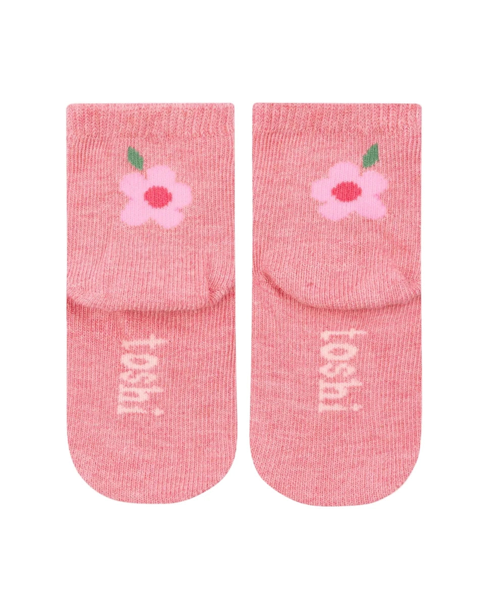 Organic Baby Socks - Rosie Posie | Toshi | Baby &amp; Toddler Socks &amp; Tights | Thirty 16 Williamstown