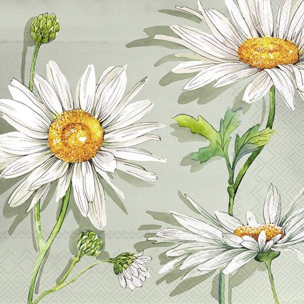 Paper Lunch Napkins - Rita Daisies Sage | Ideal Home Range | Tableware | Thirty 16 Williamstown