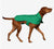 Parks & Puddles Dog Jacket - Green | Blunt | Women's Umbrellas | Thirty 16 Williamstown