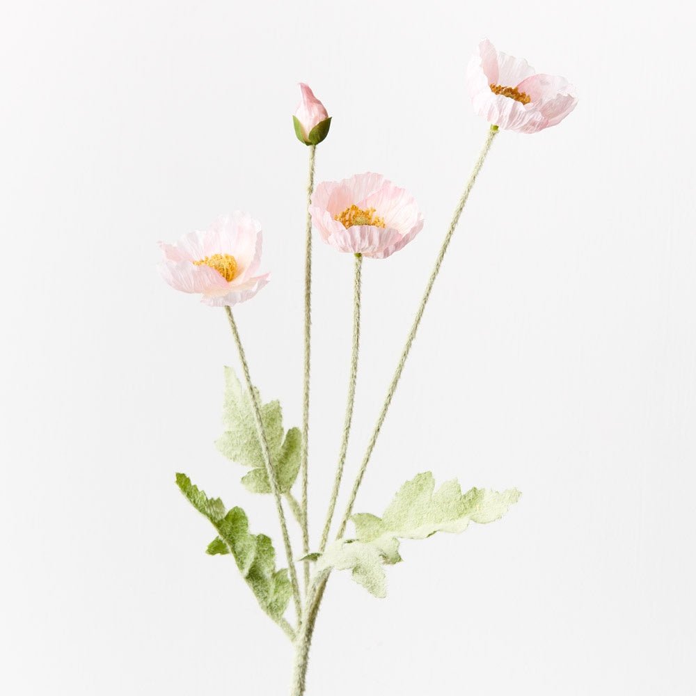 Poppy Iceland Spray - Light Pink | Floral Interiors | Decorator | Thirty 16 Williamstown