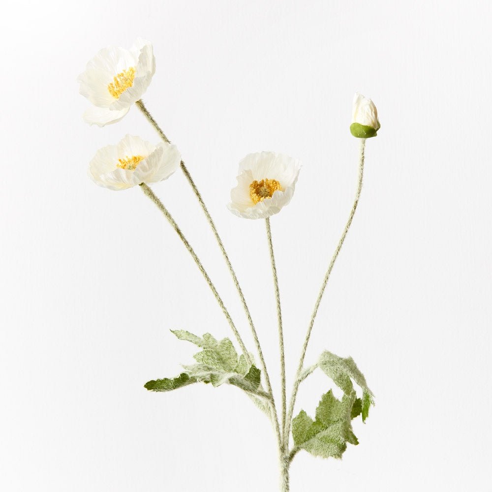 Poppy Iceland Spray - White | Floral Interiors | Decorator | Thirty 16 Williamstown