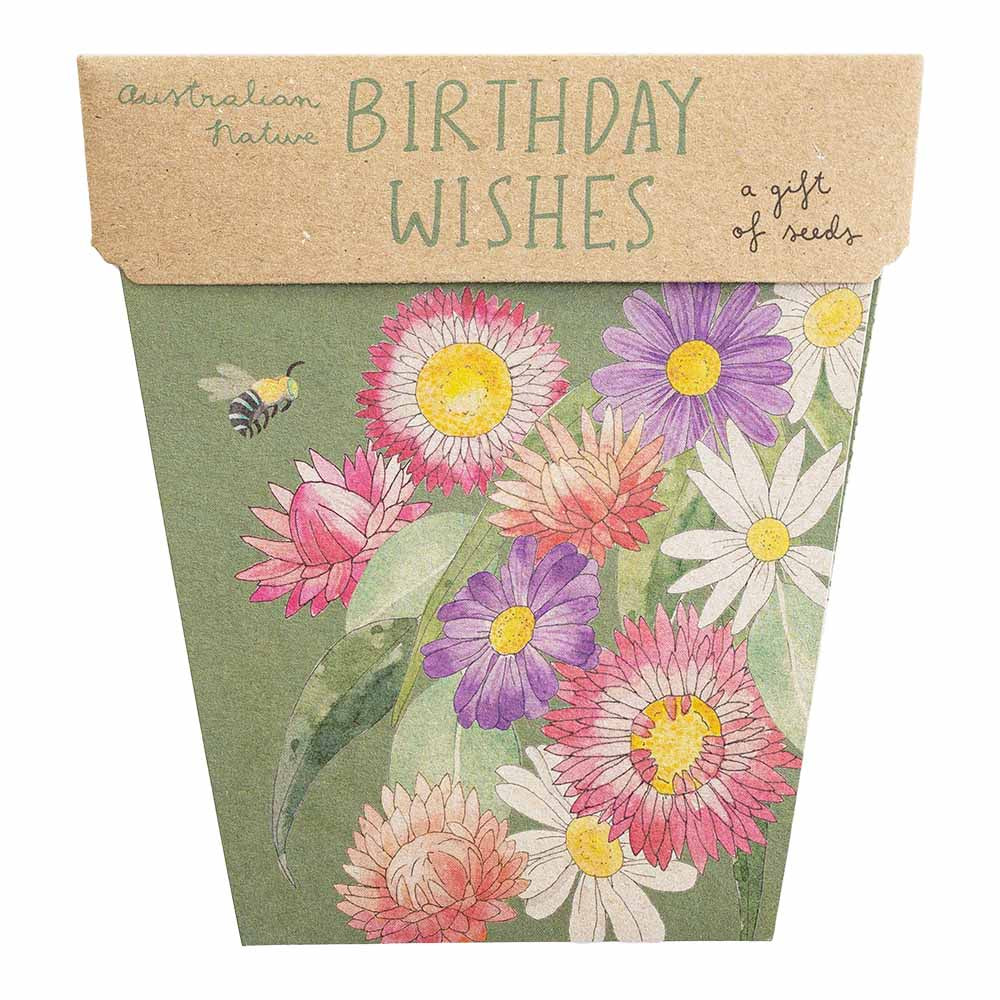 Gift of Seeds Card - Birthday Wishes Assorted Daisies