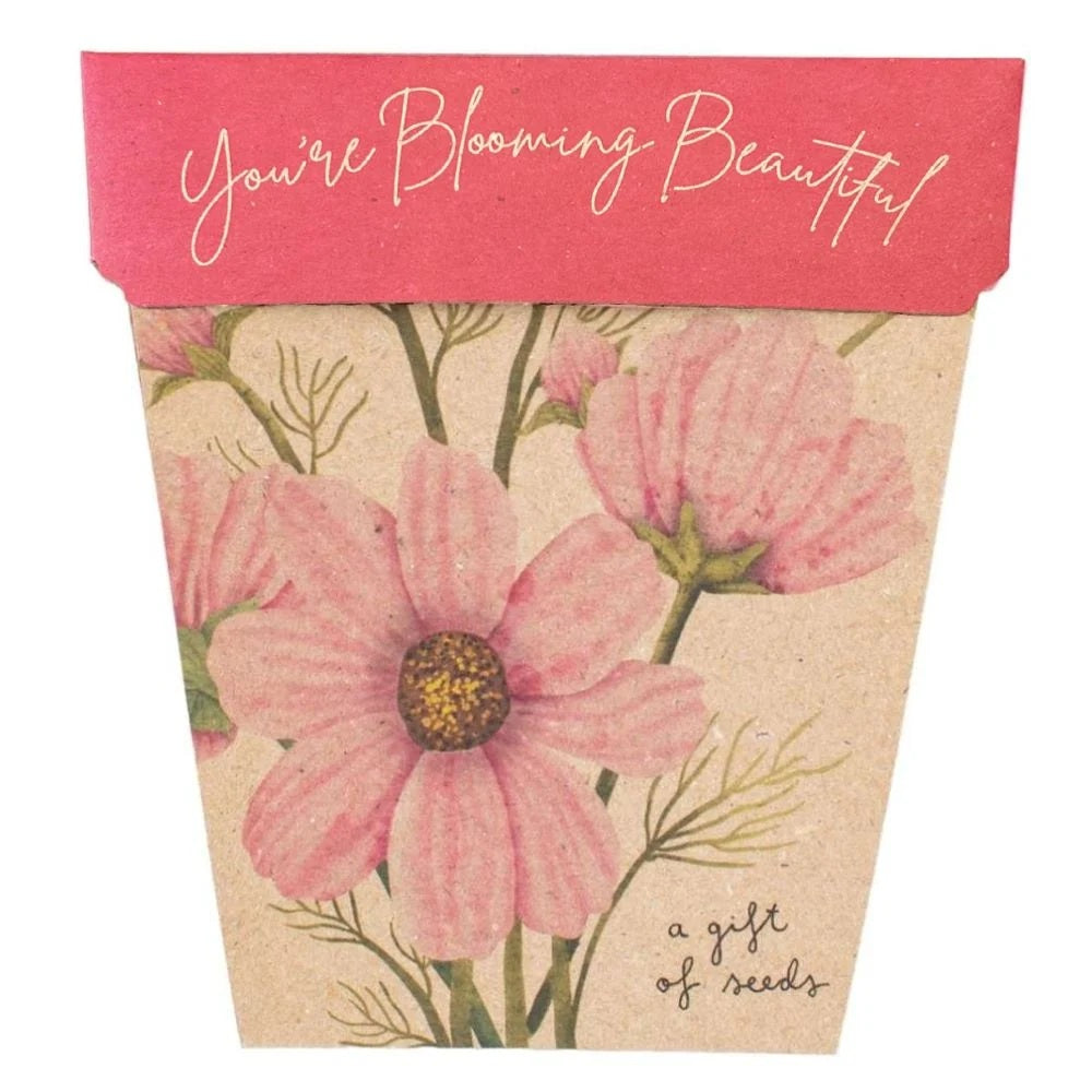 Gift of Seeds Card - 'You're Blooming Beautiful'