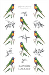 Tea Towel - Rainbow Lorikeet | Jeremy Boot Collections | Aprons, Mitts &amp; Tea Towels | Thirty 16 Williamstown