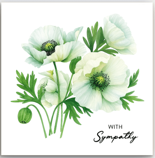 With Sympathy - &quot;Anemone&quot; | Basically Paper | Greeting Cards | Thirty 16 Williamstown
