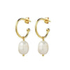 3/4 Hoop Freshwater Pearl Earrings - Gold | DPI Jewellery | Jewellery | Thirty 16 Williamstown