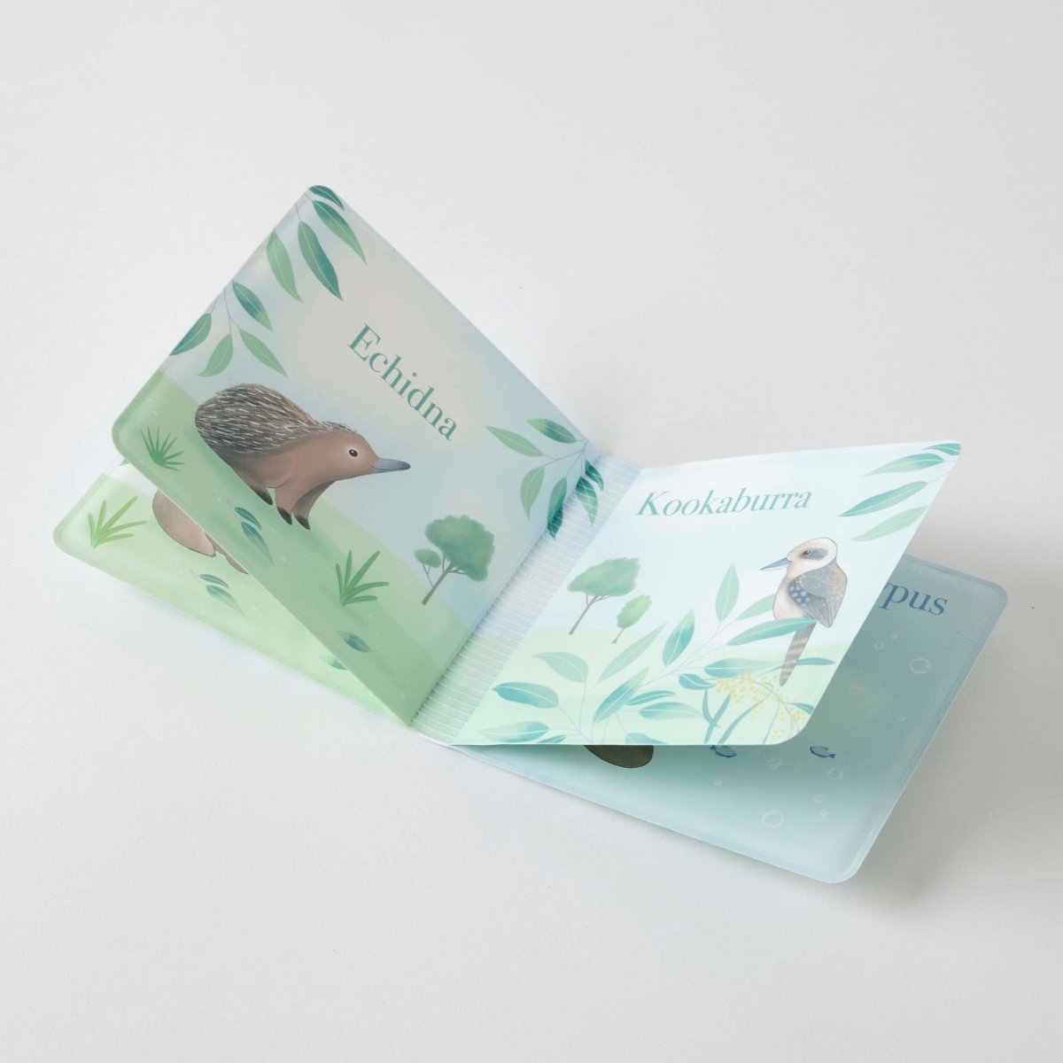 Bath Book - Koala Cuddles | Jiggle & Giggle | Bath Time | Thirty 16 Williamstown