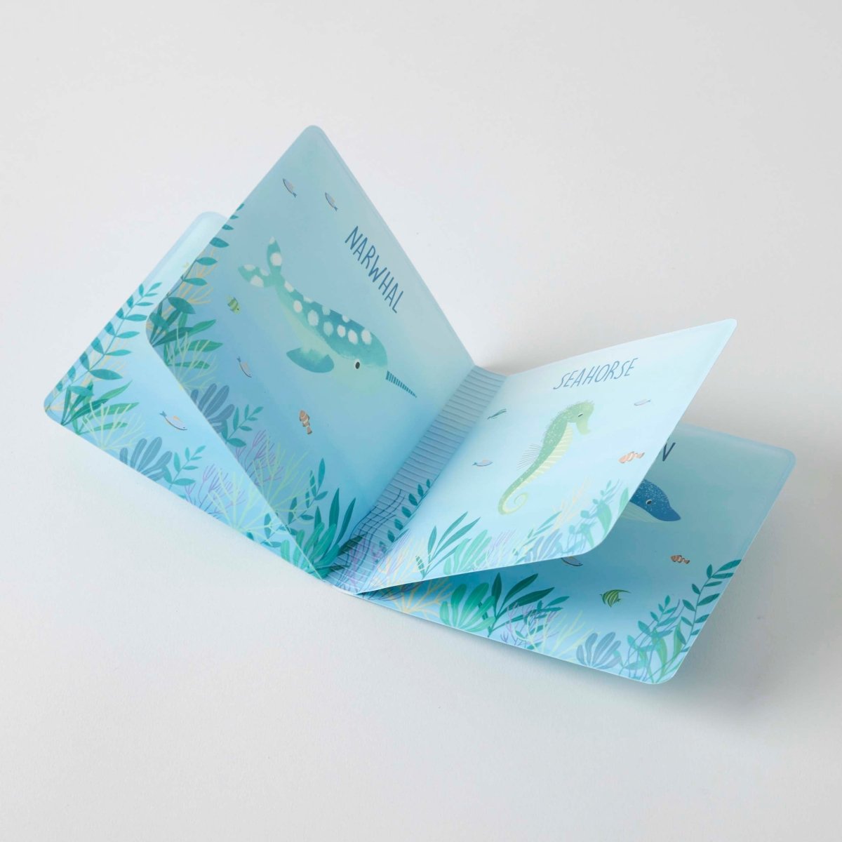 Bath Book - Ocean Buddies | Jiggle & Giggle | Bath Time | Thirty 16 Williamstown