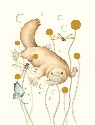 Billy Button Bubbles | Squirrel Design Studio | Greeting Cards | Thirty 16 Williamstown