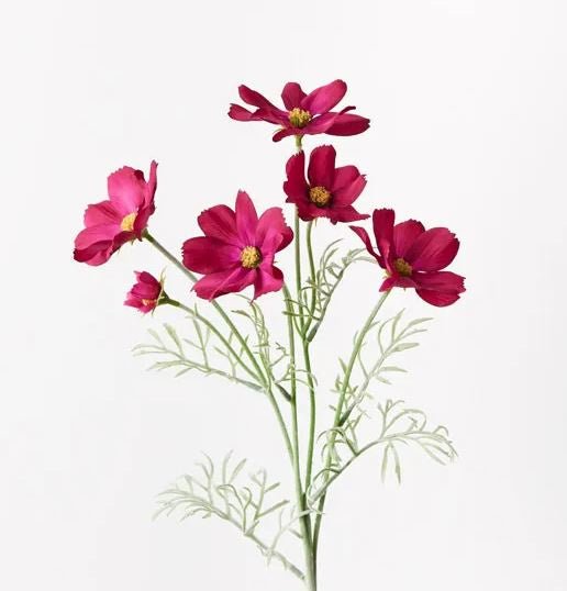 Cosmos Spray - Burgundy | Floral Interiors | Decorator | Thirty 16 Williamstown