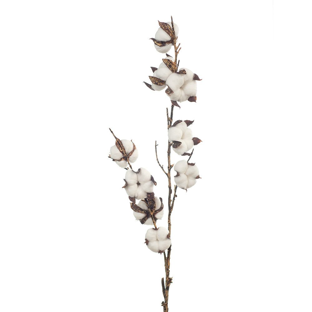 Cotton Spray | Floral Interiors | Decorator | Thirty 16 Williamstown