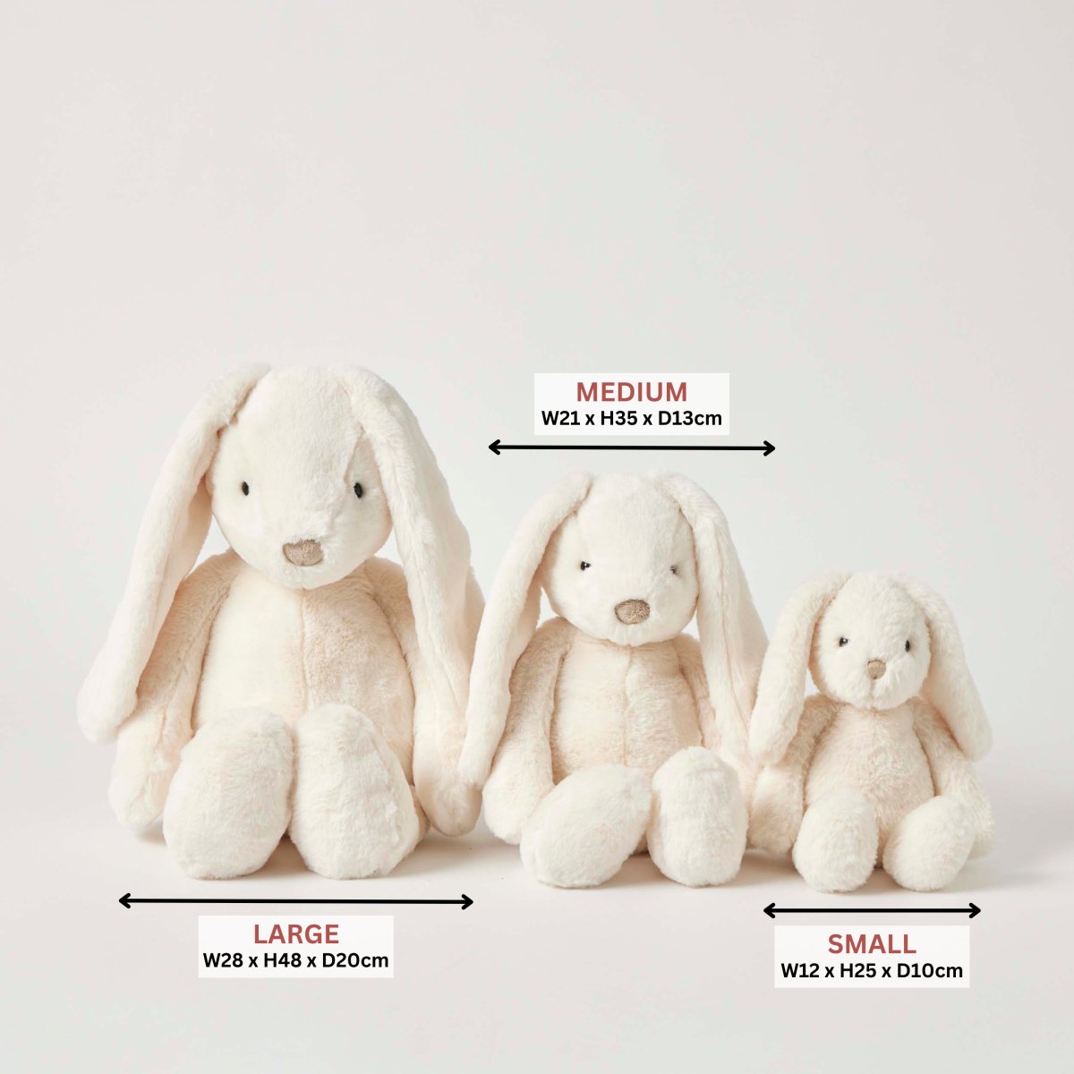 Cream Bunny Medium | Jiggle &amp; Giggle | Toys | Thirty 16 Williamstown