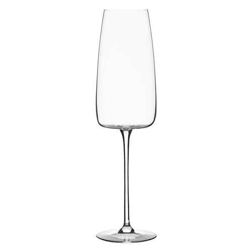 Epicure Set of 6 Champagne Flutes 300ml - Clear | Ecology | Glasses & Jugs | Thirty 16 Williamstown