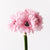 Gerbera Bouquet - Pink | Floral Interiors | Decorator | Thirty 16 Williamstown