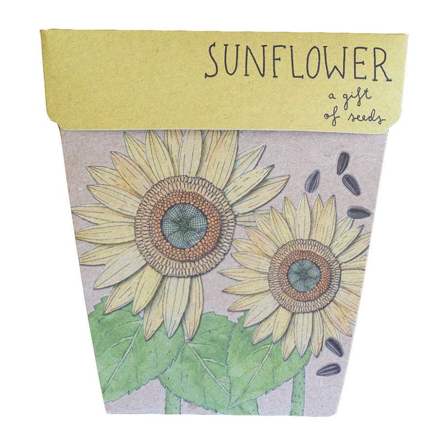 Gift of Seeds Card - Sunflower | Sow 'n Sow | Home Garden | Thirty 16 Williamstown