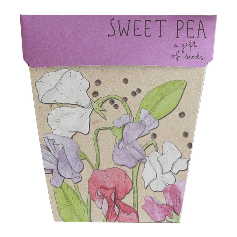 Gift of Seeds Card - Sweet Peas | Sow &#39;n Sow | Home Garden | Thirty 16 Williamstown