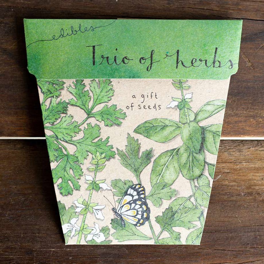 Gift of Seeds Card - Trio of Herbs | Sow &#39;n Sow | Home Garden | Thirty 16 Williamstown