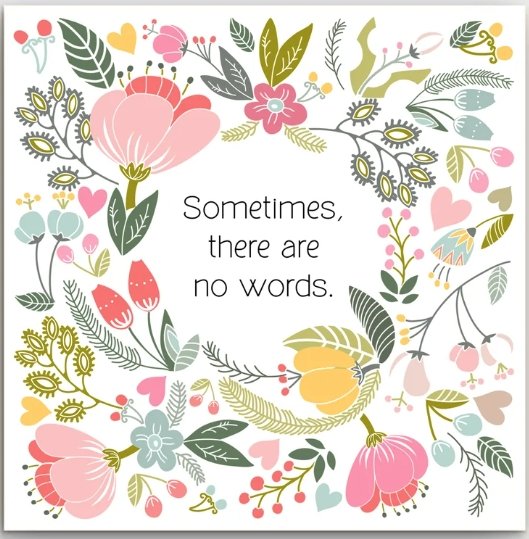 Greeting Card - No Words | Basically Paper | Greeting Cards | Thirty 16 Williamstown