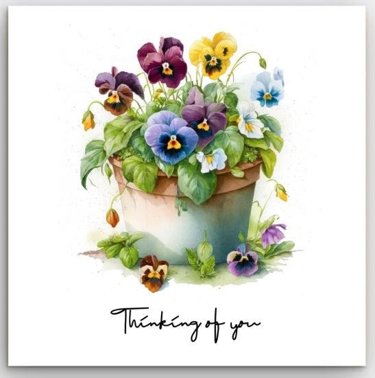 Greeting Card - Pot of Pansies | Basically Paper | Greeting Cards | Thirty 16 Williamstown