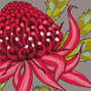 Greeting Card - Red Waratah | Lorraine Brownlee Designs | Greeting Cards | Thirty 16 Williamstown