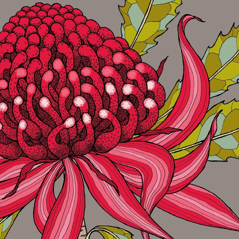 Greeting Card - Red Waratah | Lorraine Brownlee Designs | Greeting Cards | Thirty 16 Williamstown