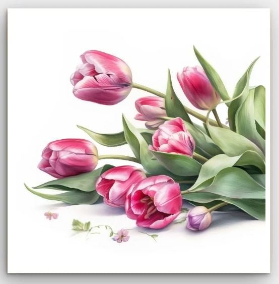 Greeting Card - Tulips | Basically Paper | Greeting Cards | Thirty 16 Williamstown