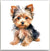 Greeting Card - Yorkshire Terrier | Basically Paper | Greeting Cards | Thirty 16 Williamstown