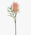 Grevillea Pink Green | Floral Interiors | Decorator | Thirty 16 Williamstown