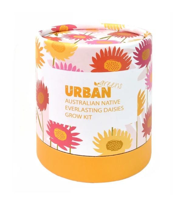 Grow Kit - Australian Native Everlasting Daisies | Retro Kitchen | Home Garden | Thirty 16 Williamstown