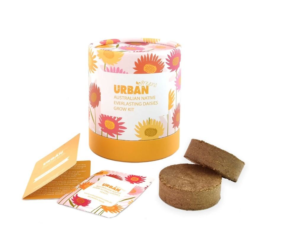 Grow Kit - Australian Native Everlasting Daisies | Retro Kitchen | Home Garden | Thirty 16 Williamstown