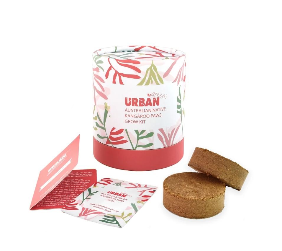 Grow Kit - Australian Native Kangaroo Paws | Retro Kitchen | Home Garden | Thirty 16 Williamstown