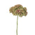 Kalanchoe Buds | Floral Interiors | Decorator | Thirty 16 Williamstown
