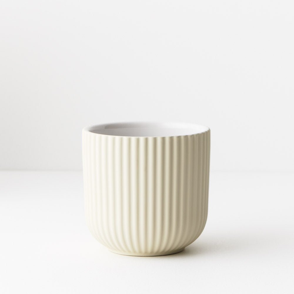 Palina Small Pot - Ivory | Floral Interiors | Decorator | Thirty 16 Williamstown