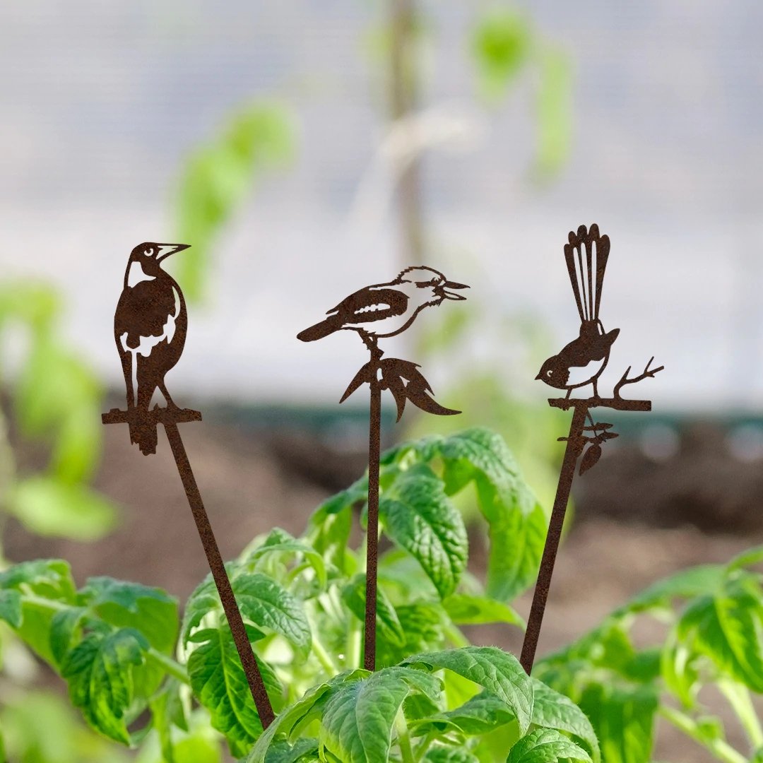 Plant Stake - Magpie | Metalbird | Home Garden | Thirty 16 Williamstown