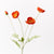 Poppy Iceland Spray - Burnt Orange | Floral Interiors | Decorator | Thirty 16 Williamstown